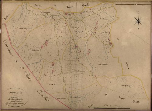 Section D dite du Bibost, feuille n°1 (parcelles 1-810).