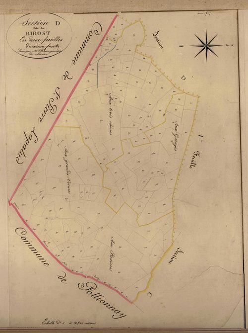 Section D dite du Bibost, feuille n°2 (parcelles 811-1004)