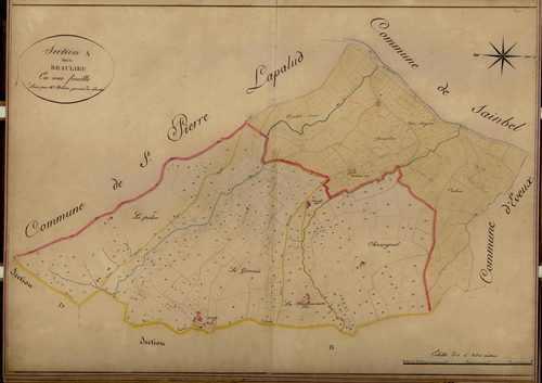 Section A dite de Beaulieu, feuille unique (parcelles 1-539).