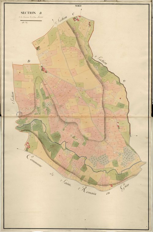 Section B dite de Liversin, feuille unique (parcelles 1-507).