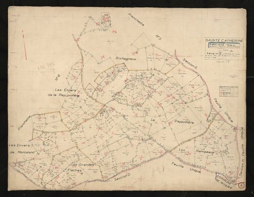 Section E partie Sud feuille n°1 : parcelles n°38-177, 187-190, 224-242. Levé n°5 effectué du 15 mai au 15 juin 1951.