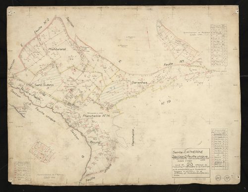 Verso : section D feuille unique : parcelles n°1-93, 229-250, 338-352. Levé n°20 effectué du 1er juillet au 1er septembre 1951 et du 11 au 13 janvier 1952.