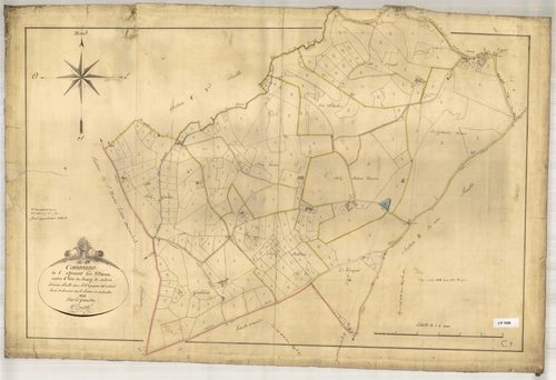 Section C dite du Bourg et Subrin, feuille n°1 (parcelles 1-312).