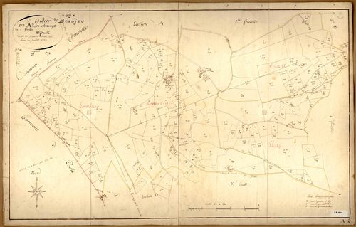 Section A dite des Champs, feuille n°2 (parcelles 228-486).