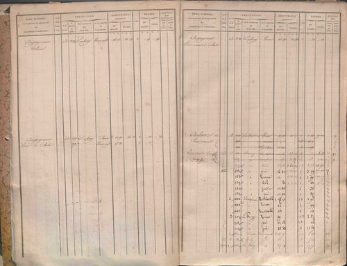 État de sections et matrice des propriétés foncières.