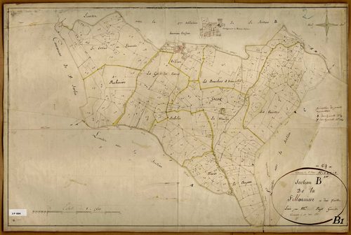 Section B dite de la Fillonnière, feuille n°1 avec développement du hameau de Verzieux (1/1250).