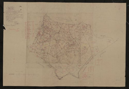 Section F.