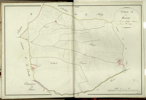Section A dite de Buyon, feuille unique(2e partie (parcelles 34-273) : section attribuée à Saint-Etienne-des-Oullières en 1867.