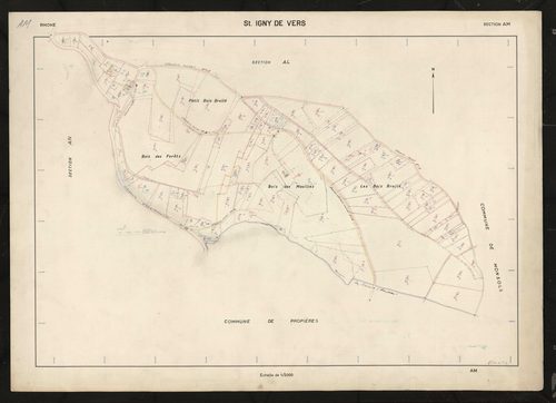 Section AM.