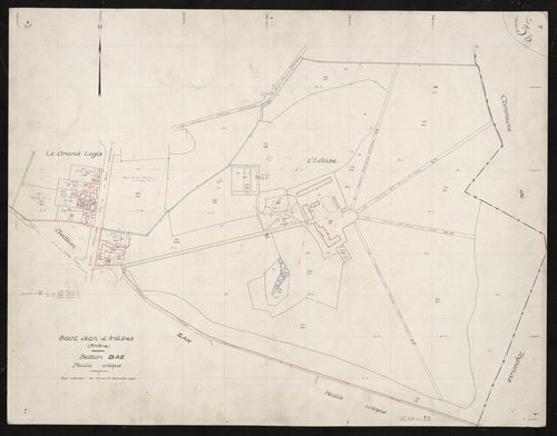 Verso : section AE feuille unique. Levé effectué du 19 au 31 décembre 1952 : planchette 3b.
