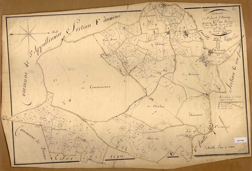 Section E dite Neiry et la Joanas, feuille n°1 (parcelles 1-325).