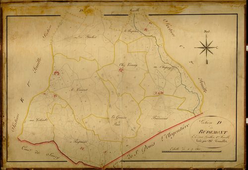 Section D dite de Budemont, feuille n°1 (parcelles 1-263).