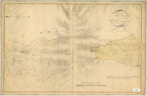 Section A dite Mussy, feuille n°1 (parcelles 1-603).