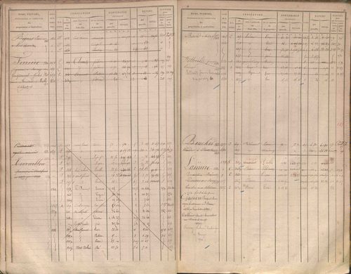 État de sections et matrice des propriétés foncières.