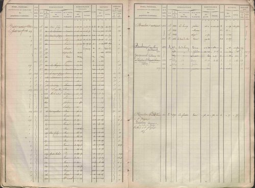 État de sections et matrice des propriétés foncières.