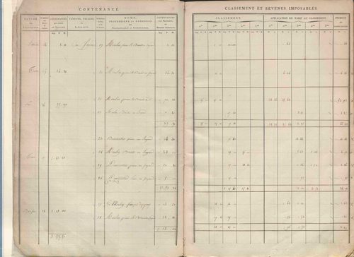 Section A dite de Thevenon, section B dite de Basse-Cour, section C dite de Rochefort, section D dite de Labatie, section E dite des Flaches, section F dite de Chavigneux, section G dite du Mousel, section H dite de Vernières.