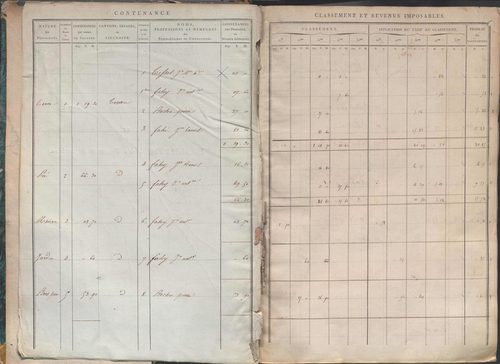 Section I dite de la Chèvre, section K dite du Chier, section L dite d'Avelaison, section M dite du Vilard, section N dite de la Carrière, section O dite du Bourg, section P dite de Montignieux, section Q dite des Plaines.