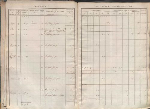 Section I dite de la Chèvre, section K dite du Chier, section L dite d'Avelaison, section M dite du Vilard, section N dite de la Carrière, section O dite du Bourg, section P dite de Montignieux, section Q dite des Plaines.