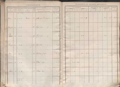 Section I dite de la Chèvre, section K dite du Chier, section L dite d'Avelaison, section M dite du Vilard, section N dite de la Carrière, section O dite du Bourg, section P dite de Montignieux, section Q dite des Plaines.