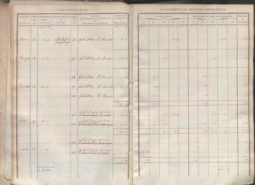 Section I dite de la Chèvre, section K dite du Chier, section L dite d'Avelaison, section M dite du Vilard, section N dite de la Carrière, section O dite du Bourg, section P dite de Montignieux, section Q dite des Plaines.