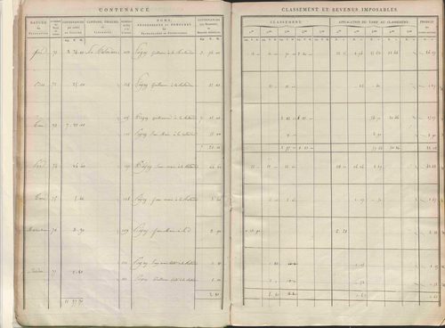 Section A dite de Thevenon, section B dite de Basse-Cour, section C dite de Rochefort, section D dite de Labatie, section E dite des Flaches, section F dite de Chavigneux, section G dite du Mousel, section H dite de Vernières.