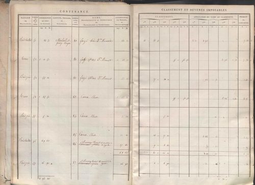 Section I dite de la Chèvre, section K dite du Chier, section L dite d'Avelaison, section M dite du Vilard, section N dite de la Carrière, section O dite du Bourg, section P dite de Montignieux, section Q dite des Plaines.