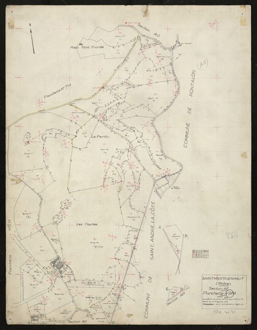 Section AE : parcelles n° 34-35, 37-68, 80-111, 113-115. Levé effectué du 20 mai au 20 juin 1954 : planchette n° 9 M.