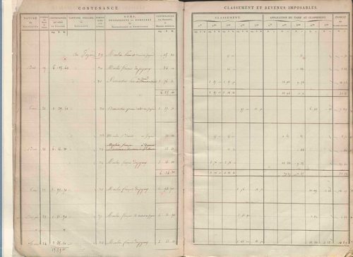 Section A dite de Thevenon, section B dite de Basse-Cour, section C dite de Rochefort, section D dite de Labatie, section E dite des Flaches, section F dite de Chavigneux, section G dite du Mousel, section H dite de Vernières.