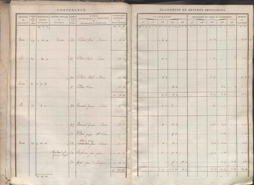 Section I dite de la Chèvre, section K dite du Chier, section L dite d'Avelaison, section M dite du Vilard, section N dite de la Carrière, section O dite du Bourg, section P dite de Montignieux, section Q dite des Plaines.