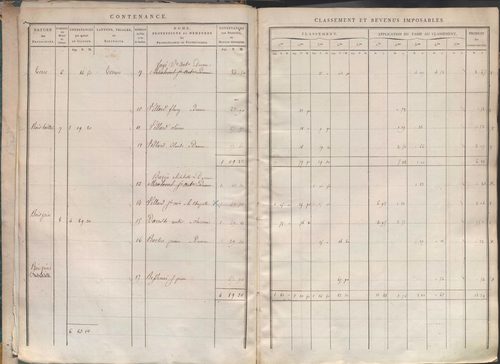 Section I dite de la Chèvre, section K dite du Chier, section L dite d'Avelaison, section M dite du Vilard, section N dite de la Carrière, section O dite du Bourg, section P dite de Montignieux, section Q dite des Plaines.