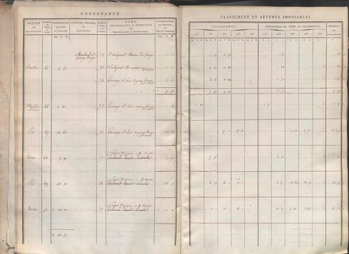 Section I dite de la Chèvre, section K dite du Chier, section L dite d'Avelaison, section M dite du Vilard, section N dite de la Carrière, section O dite du Bourg, section P dite de Montignieux, section Q dite des Plaines.