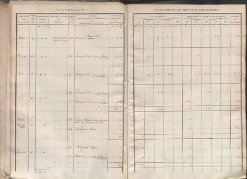 Section I dite de la Chèvre, section K dite du Chier, section L dite d'Avelaison, section M dite du Vilard, section N dite de la Carrière, section O dite du Bourg, section P dite de Montignieux, section Q dite des Plaines.