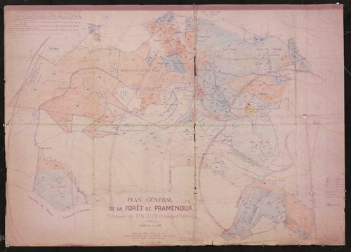 Document de travail : plan général de la forêt de Pramenoux, dressé le 1er mars 1938, revu et corrigé en avril 1939.
