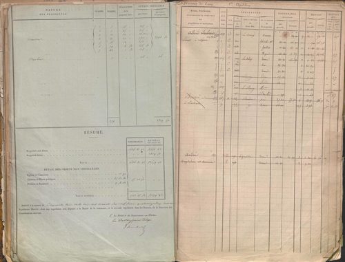 État de sections et matrice des propriétés foncières.