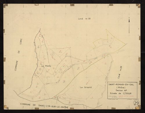 Section AP : parcelles n° 115-127, 137-139, 142-152. Planchette n°29.