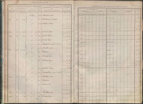 États de sections des propriétés non bâties et bâties : section A dite de Clairin, section B dite de Palaverin, section C dite de Morel, section D dite du Trouilloux (1808). Matrice de rôle des propriétés non bâties et bâties (1808).