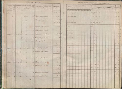 États de sections des propriétés non bâties et bâties : section A dite de Clairin, section B dite de Palaverin, section C dite de Morel, section D dite du Trouilloux (1808). Matrice de rôle des propriétés non bâties et bâties (1808).