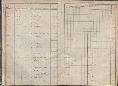 États de sections des propriétés non bâties et bâties : section A dite de Clairin, section B dite de Palaverin, section C dite de Morel, section D dite du Trouilloux (1808). Matrice de rôle des propriétés non bâties et bâties (1808).