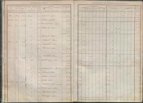 États de sections des propriétés non bâties et bâties : section A dite de Clairin, section B dite de Palaverin, section C dite de Morel, section D dite du Trouilloux (1808). Matrice de rôle des propriétés non bâties et bâties (1808).