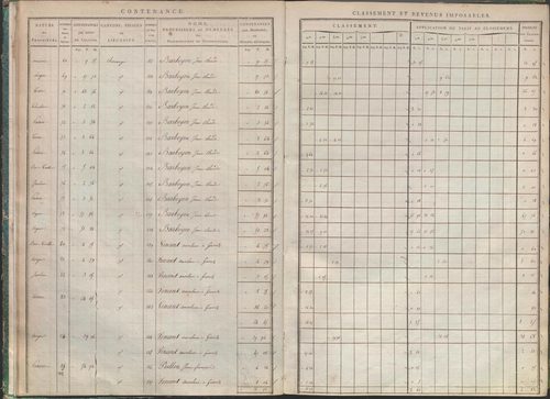 États de sections des propriétés non bâties et bâties : section A dite de Clairin, section B dite de Palaverin, section C dite de Morel, section D dite du Trouilloux (1808). Matrice de rôle des propriétés non bâties et bâties (1808).