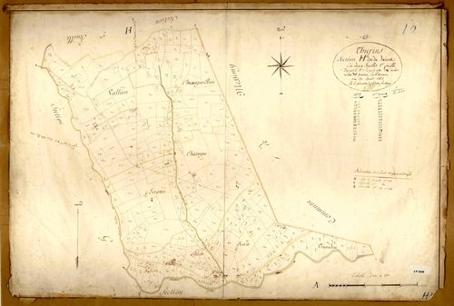 Section H dite du Jaricol, feuille n°1 (parcelles 1-385).