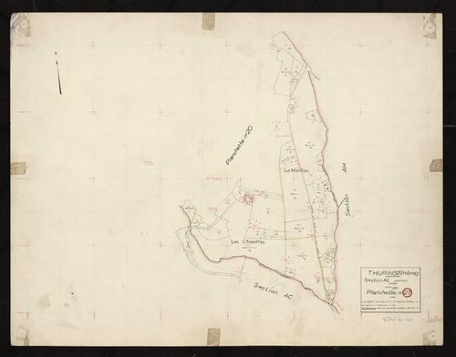 Section AE partie Sud : parcelles n° 126-127, 129-164, 167-168, 170-171. Levé effectué du 1er au 15 décembre 1955 : planchette n°21.