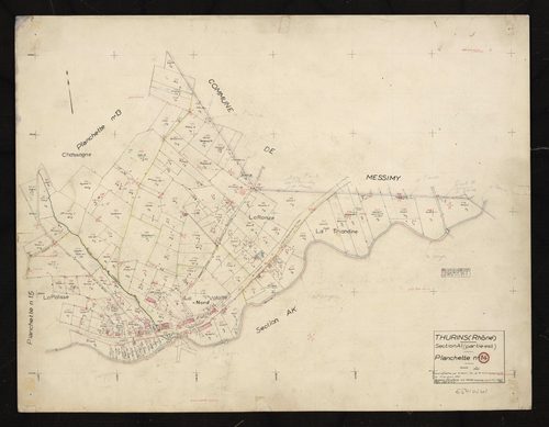 Section AI partie Est : parcelles n° 65, 83-88, 122-125, 136-147, 150-260, 262-269, 285, 313. Levé effectué du 1er au 17 juin 1955 : planchette n°14.