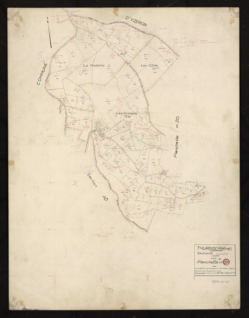 Section AE partie Nord : parcelles n° 1-26, 213-229, 233-254, 256-278. Levé effectué du 8 octobre au 14 novembre 1955 : planchette n°19.