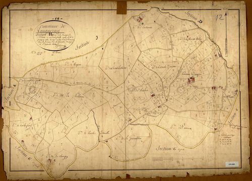 Section H dite de la Montagne de Pellerou, feuille unique (parcelles 1-390).