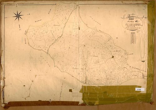Section A dite du Rozier, feuille n°3 (parcelles 835-1185) : section attribuée au Perréon.