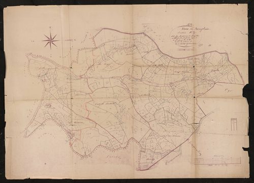 Section E feuille n°3.