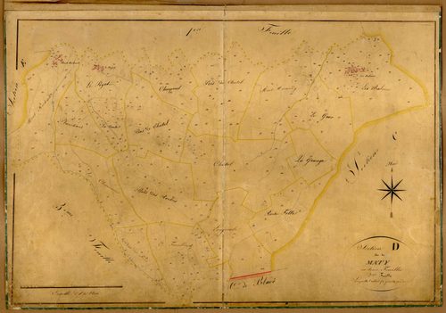 Section D dite du Maty, feuille n°2 (parcelles 328-695).