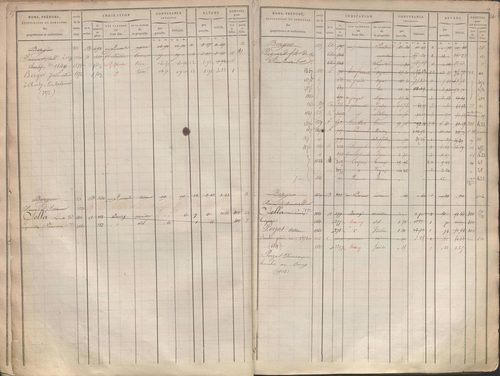État de sections et matrice des propriétés foncières.