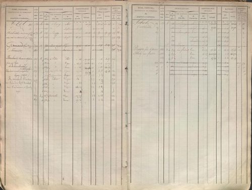 État de sections et matrice des propriétés foncières.